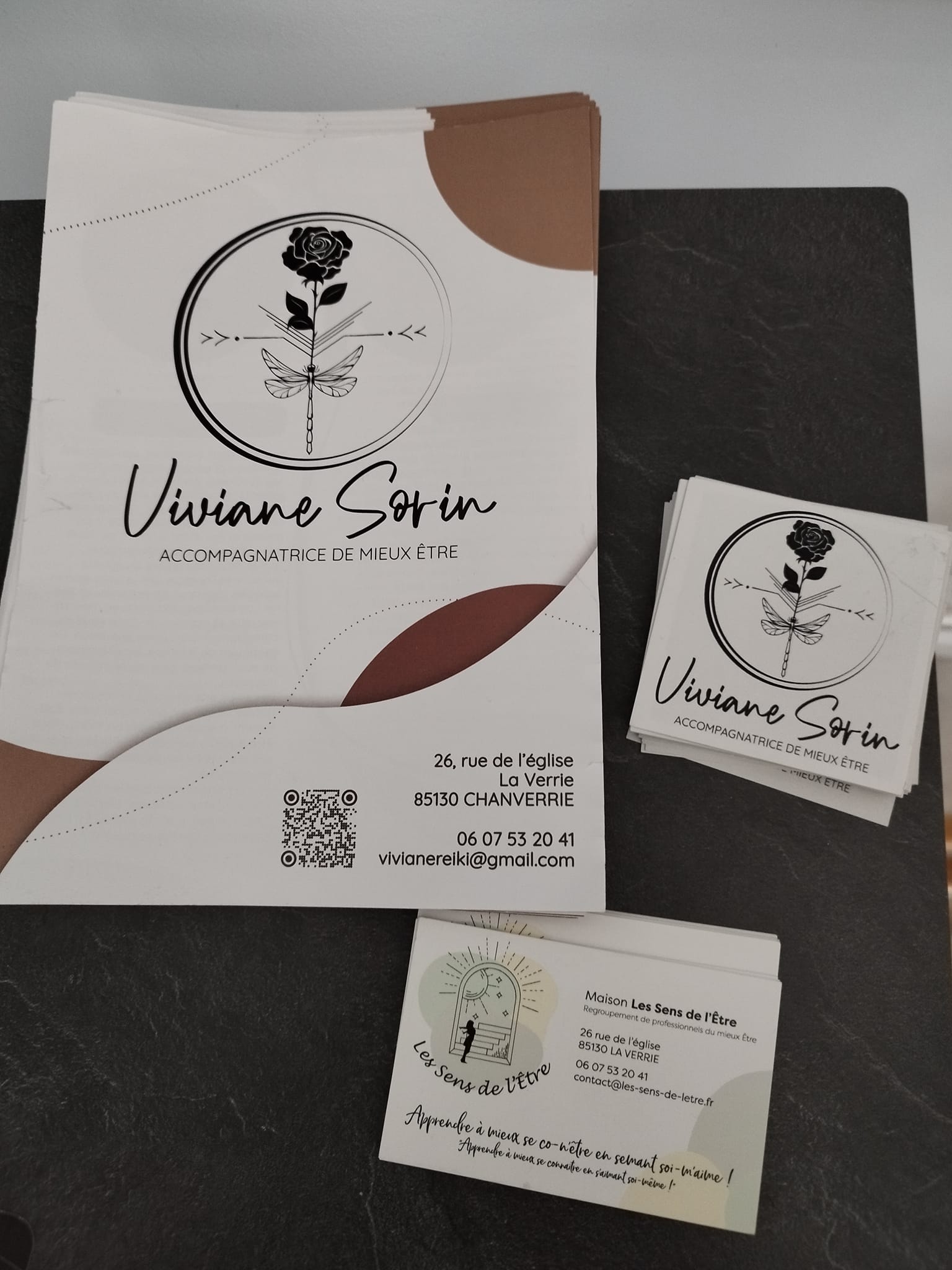 Viviane SORIN Accompagnatrice de mieux Être