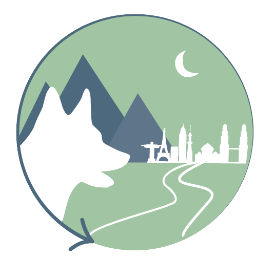 Pokki Travels – les voyages qui ont du chien