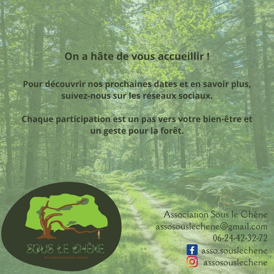 Sous le Chêne : reconnectez-vous à la nature pour votre bien-être et celui de la forêt ! Sous le Chêne : reconnectez-vous à la nature pour votre bien-être et celui de la forêt !